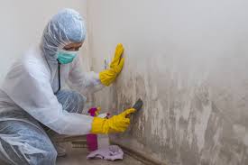 Professional Mold Inspection in Inglenook, CT